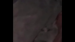 Pussy play